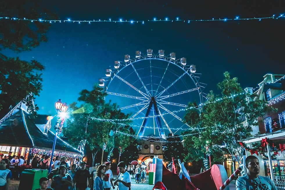 Ferris Wheel in Amusement Park